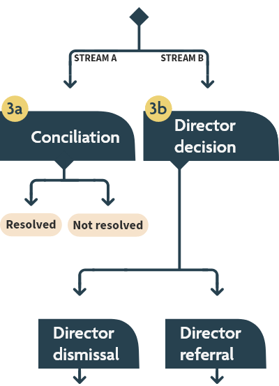 Flow chart showing the conciliation, director decision, director dismissal, and director referral steps, as described in the text version linked at the top of the page.