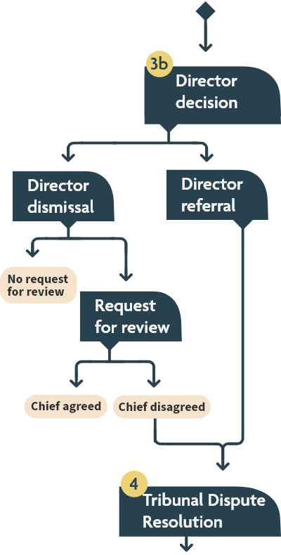 Flow chart showing the director decision, director dismissal, director referral request for review, and tribunal dispute resolution steps, as described in the text version linked at the top of the page.