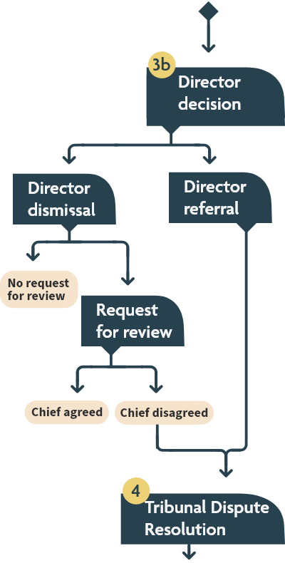 Flow chart showing the director decision, director dismissal, director referral request for review, and tribunal dispute resolution steps, as described in the text version linked at the top of the page.