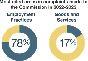 Circles showing percentages for employment practices 78% and goods/services 17%.